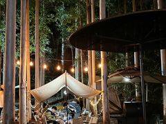 -桉树林A coffee 森林餐厅(三圣乡店)