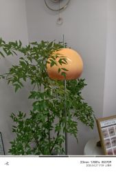 -变美丽半永久纹眉连锁·机器野生眉·洗眉