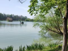 -苏州太湖国家湿地公园