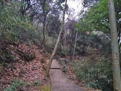 -上海佘山国家森林公园天马山园