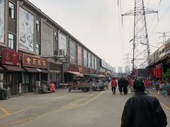 -中环花鸟鱼虫市场