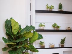 -NoNo Cake(大唐广场店)