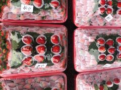 -双福水果批发市场