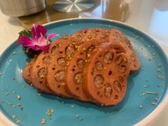 -梧桐人家中国太平国际健康颐养社区