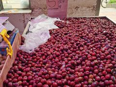 -五里多农博广场