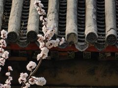 -颐和园