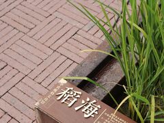 -华农酸奶文化馆
