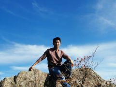 -王顺山国家森林公园