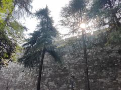 -紫金山山顶公园