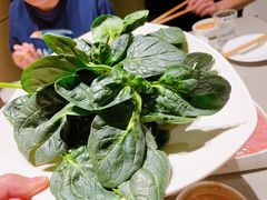 -海底捞火锅(万达坊店)