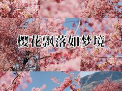 -昆明动物园