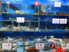 -张树军海鲜(王府壹号店)