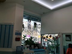 -纳吉亚猫专科动物医院·北北分院