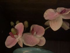 -春天来了(印象新天地店)