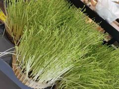 -洪氏嗨捞·猪肚鸡火锅(阳光天地店)