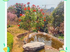 -小南山公园