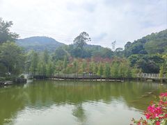 -广州市帽峰山景区