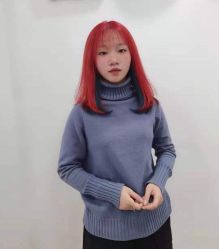 -YESIDO椰岛造型