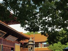 -亭林园-华藏寺