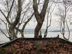 -浙江宾馆·花园餐厅·自助餐厅·茶吧