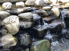 -白水寺森林公园