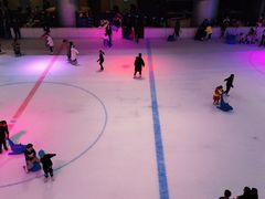 -TheRink大零溜冰场(IFS国金中心店)