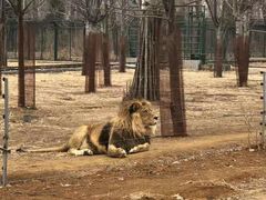 -秦皇岛野生动物园