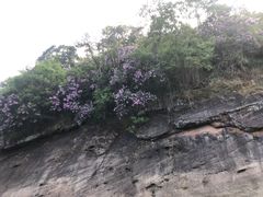 -九曲溪竹筏码头