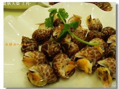 ♨【白灼花螺】-潮人姐妹轩(海宁路店)