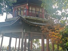 -杭州半山国家森林公园