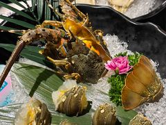 -打酱友•斑鱼海鲜粥火锅(吴桥店)