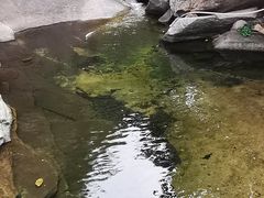 -黑龙潭风景区