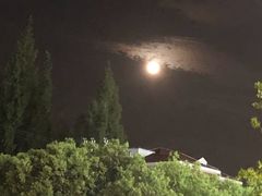 -千叶寿司创意融合料理(水韵城店)