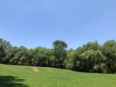 -长白岛森林公园