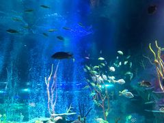 -沈阳海洋探索中心