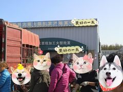 -韩家墅海吉星农产品批发市场