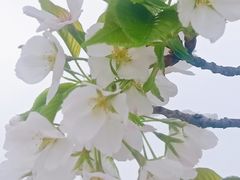 -艾溪湖湿地公园