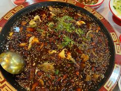 特色肥肠-烧哥美蛙肥肠鱼火锅·十五年社区店