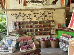 -大象粑粑造纸公园