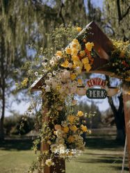 -美薇亭婚礼顾问