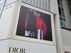 -Dior迪奥(上海世茂广场店)
