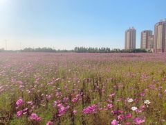 -人杰湖公园(地铁站)