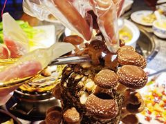 有机活体菇-先机®·泉水鸡汤(七星岗店)