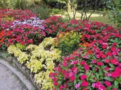 -庐山风景区花径公园