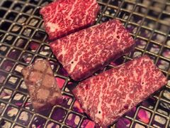 -火浪壹 by tigergrill(33小镇店)