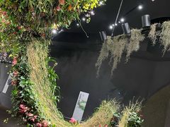 -东平国家森林公园