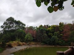 -深圳国际园林花卉博览园