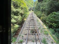 -神户市立六甲山牧场