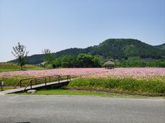 -径山花海