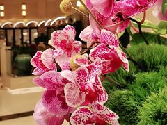 -东方滨江大酒店·滨江厅